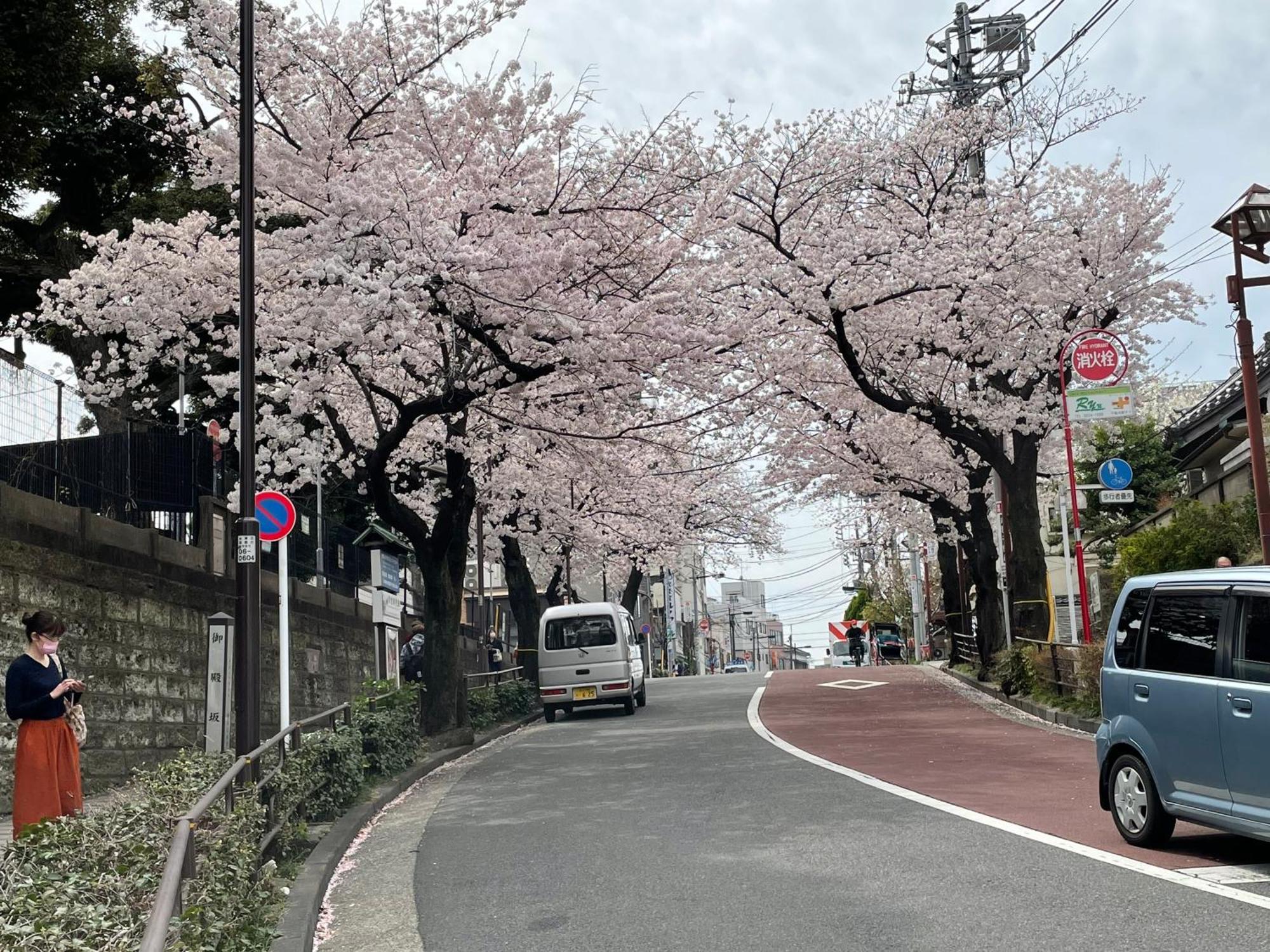 Sakura Nippori Hotell 2*